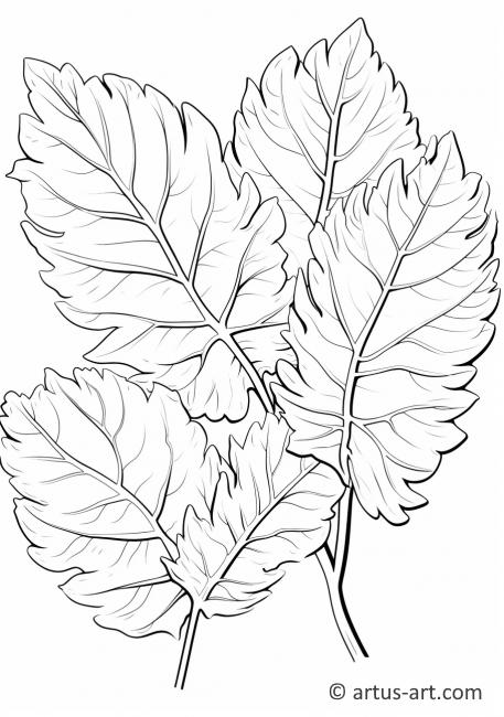 Página para colorear de hojas de panapén